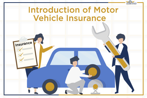 Introduction-of-Motor-Vehicle-Insurance